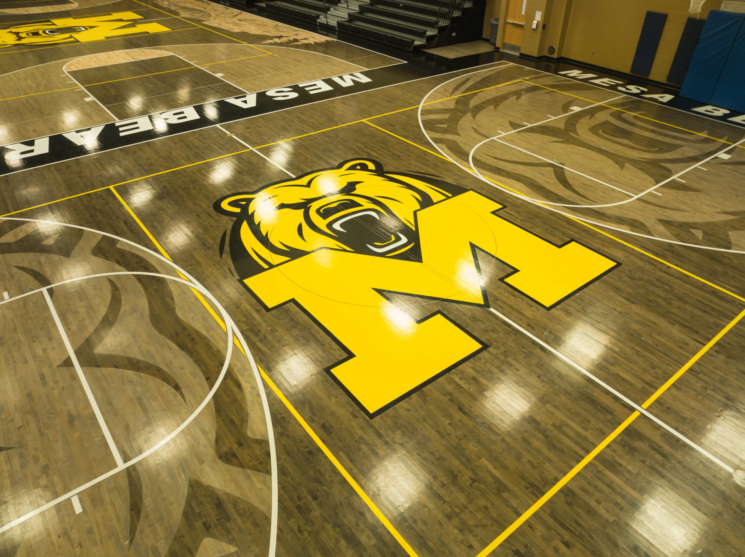 Mesa middle school maple floor graphics by BROC