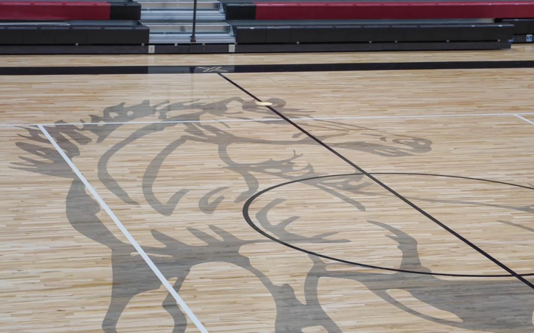 Amazing Gymnasium Floor Graphics: Enhancing the Aesthetics and Functionality of Your Space