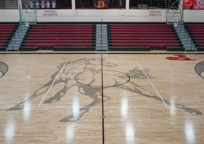 Stallion gymnasium floor graphic